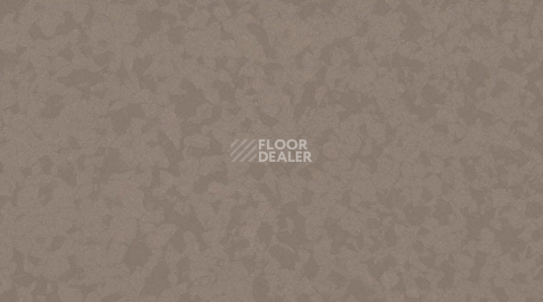 Линолеум Taralay Premium Compact Osmoz 4351 GREIGGE фото 1 | FLOORDEALER